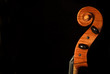 Kopf eines Violoncelli Kopf eines Violoncelli