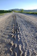 traces of a car on a mountain road