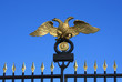 Russian museum gates.Fragment