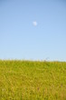 Moon on horizont