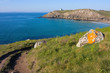 La pointe du Millier 06