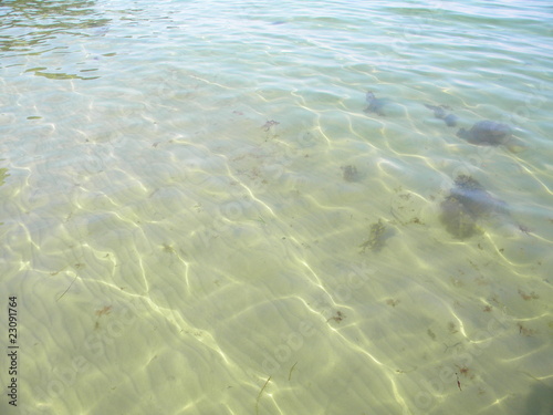 Photo: light reflections in the sea light reflections in the sea