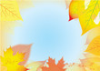 abstract background with autumn leaves and blue sky