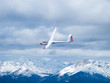 Glider in the air
