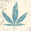 marijuana leaf in grunge