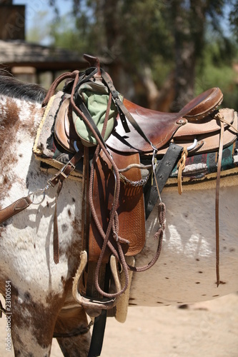 Photo: Western saddle with bridle Western saddle with bridle