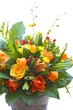 yellow-orange-flowers