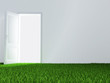 white wall, unclosed door and juicy green lawn