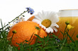 Photographie : orange juice,verre de jus d\'orange et fruit