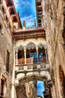 Neogothic-style bridge over Carrer del Bisbe