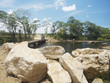 Truck and bridge