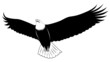 Vector: Eagle, tattoo Eagle, tattoo