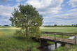 Small Bridge