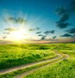 Summer landscape with green grass, road and dramatic sky