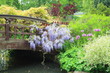 Lovely spring garden