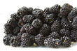 Ripe blackberry