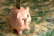 Piggy Bank With Canadian Cash