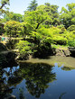 20100601_日本庭園