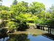 20100601_日本庭園