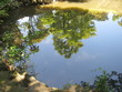 20100601_日本庭園