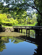 20100601_日本庭園