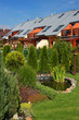 Beautiful family house zen garden with coniferous trees