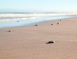 Pebbles on a beach