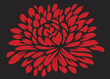 redrose
