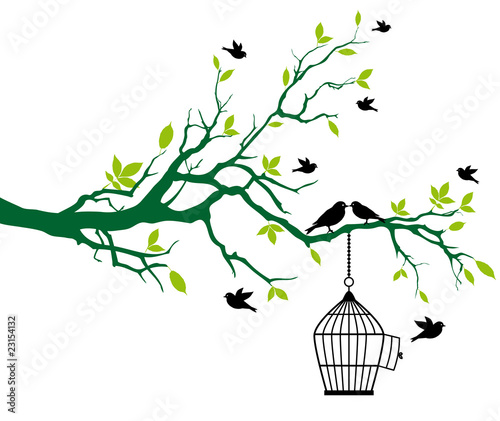 wallpaper spring trees. spring tree with birdcage and