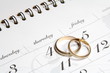 Couple of Wedding Rings on Calender
