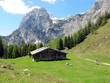 almsommer