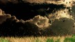 Video motion background: grass and clouds