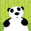 roleta: Black and white panda bear on bamboo background