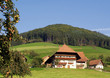 Schwarzwälder Bauernhof