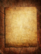 grunge paper on tree stump