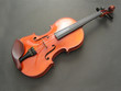VIOLON ANCIEN 2