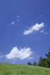 縦位置の草原と空と雲