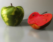 Sandia
