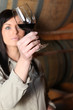 Viticulteur avec verre de vin rouge Viticulteur avec verre de vin rouge