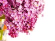 Bouquet of lilac on white. Isolation. Bouquet of lilac on white. Isolation.
