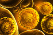 hepatitis virus