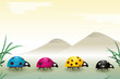 Coccinelles des couleurs de l'imprimerie, vecteur Coccinelles des couleurs de l'imprimerie, vecteur
