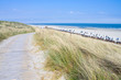 Idyllischer Tag an der Nordsee im Sommer