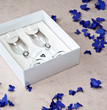 Foto: Wedding - Beaufiful Bride and Groom Champagne Glasses Wedding - Beaufiful Bride and Groom Champagne Glasses