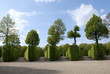 Garden Schonbrunn