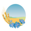 Wheat and cornflowers. Wheat and cornflowers.