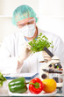 Researcher holding up a GMO vegetable in the laboratory Researcher holding up a GMO vegetable in the laboratory