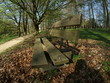 Bank im Wald Bank im Wald
