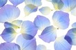 Petals