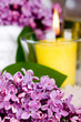 flowers and candle